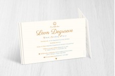 Blauw met bronzen leeuw Blauw met bronzen leeuw